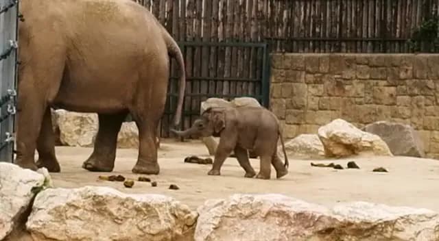 View of Budapest Zoo & Botanical Garden in Zugló, Budapest