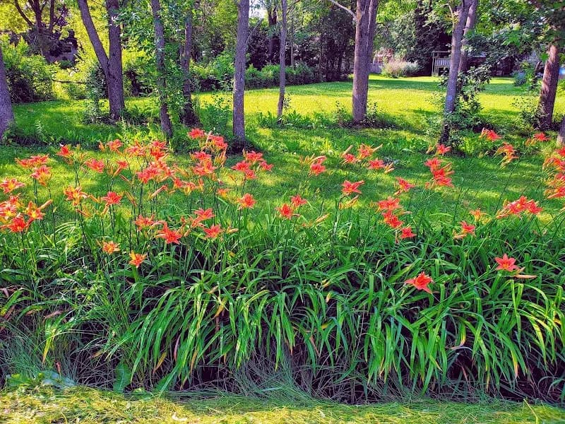 View of Bugline Trail Head (no parking in lot) in Menomonee Falls, WI