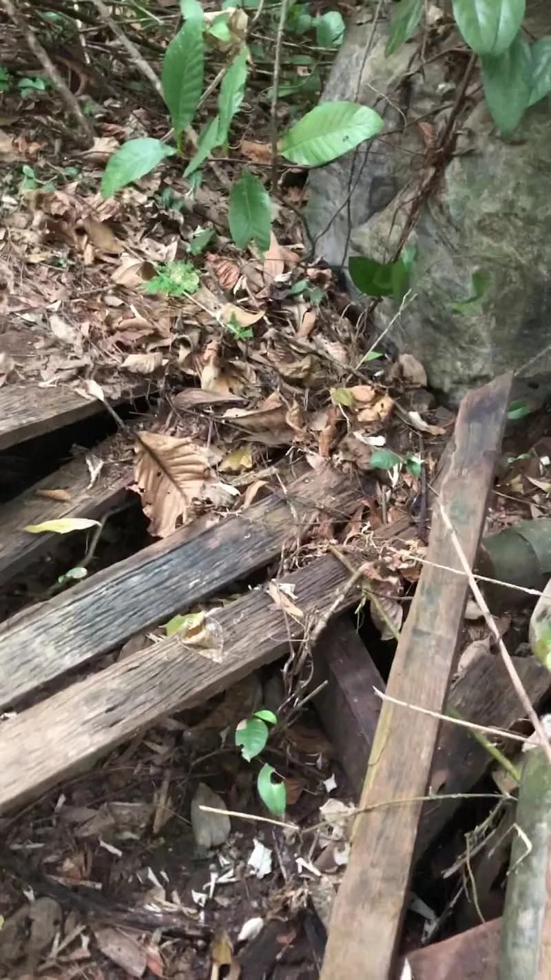 View of Bukit Batok Hillside Park in Bukit Batok, SG