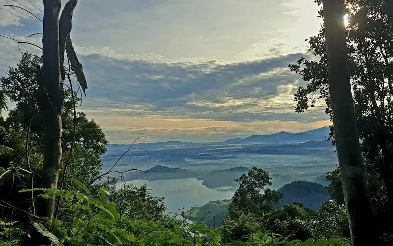 View of Bukit Mertajam Forest Park in Bukit Mertajam, Penang