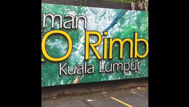 View of Bukit Nanas Forest Reserve in Kuala Lumpur, KL