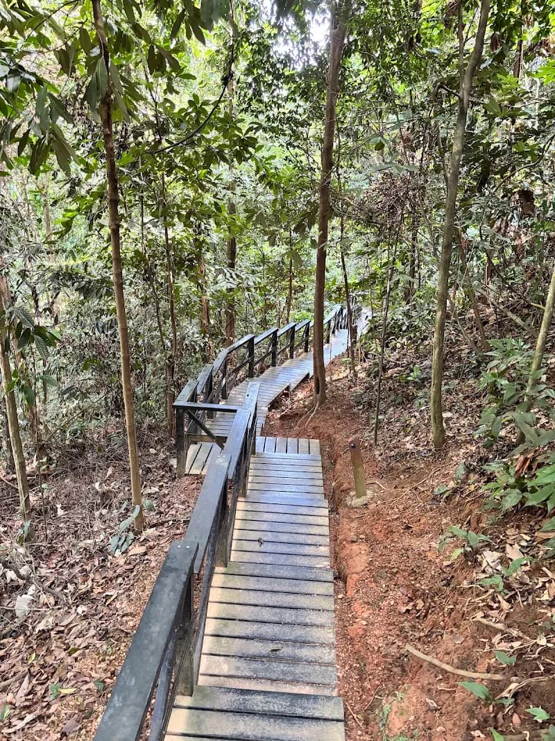 View of Bukit Nanas Forest Reserve in Kuala Lumpur, KL