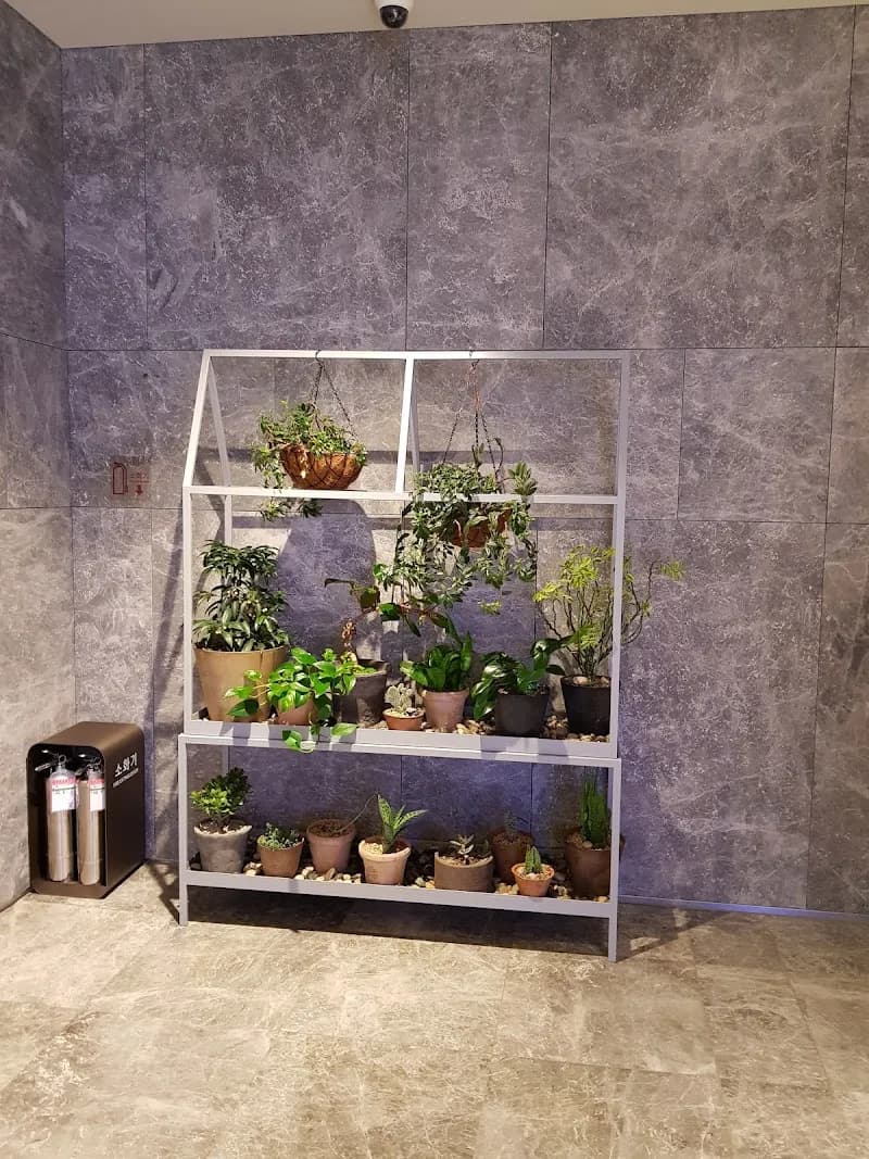 View of Bundang Wildflower Garden (분당 야생화정원) in Bundang, GG