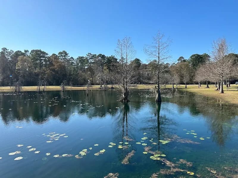 View of Burroughs Park in Humble, TX