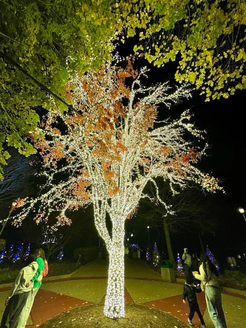 View of Busch Gardens Williamsburg in Virginia Beach, VA