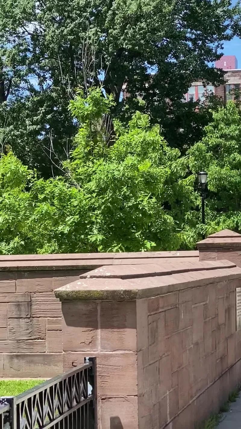 View of Bushnell Park in Hartford, CT