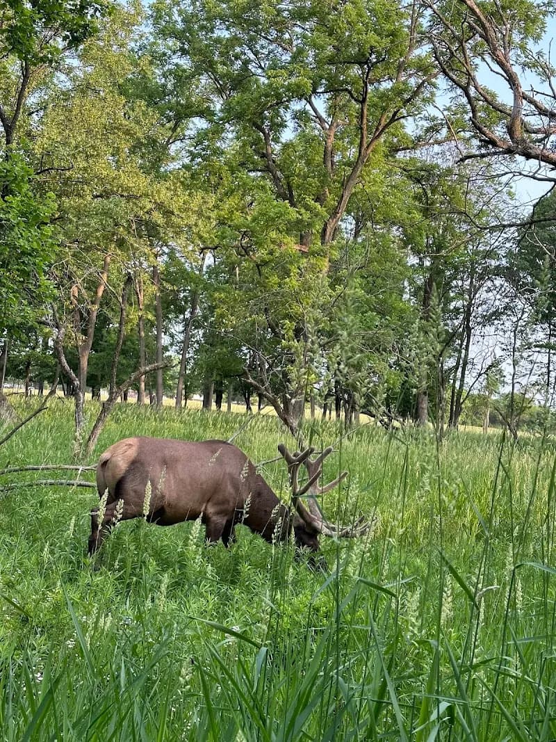 View of Busse Woods Bicycle Trail in Schaumburg, IL