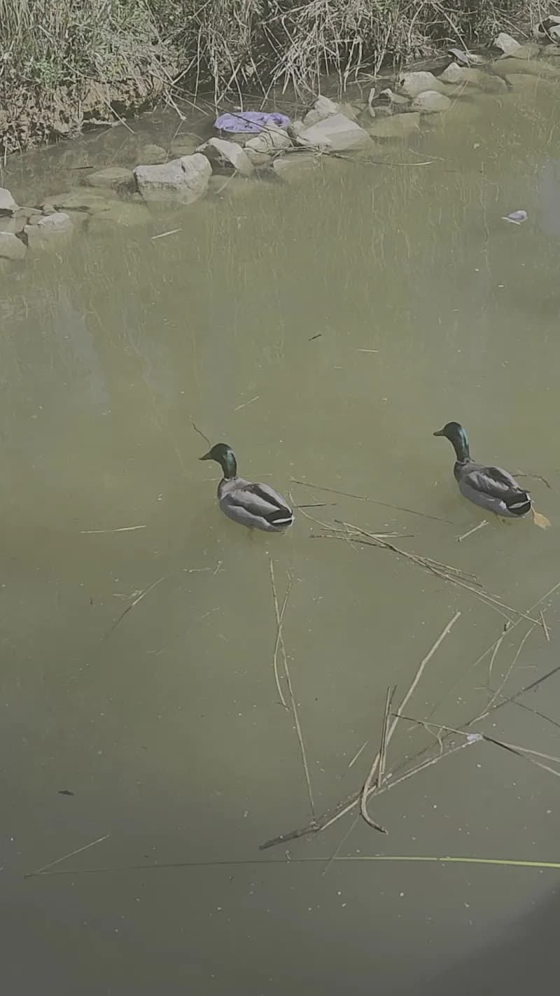 View of Cabecera Park in Valencia, VC