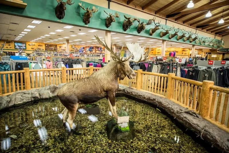 View of Cabela's in Buda, TX