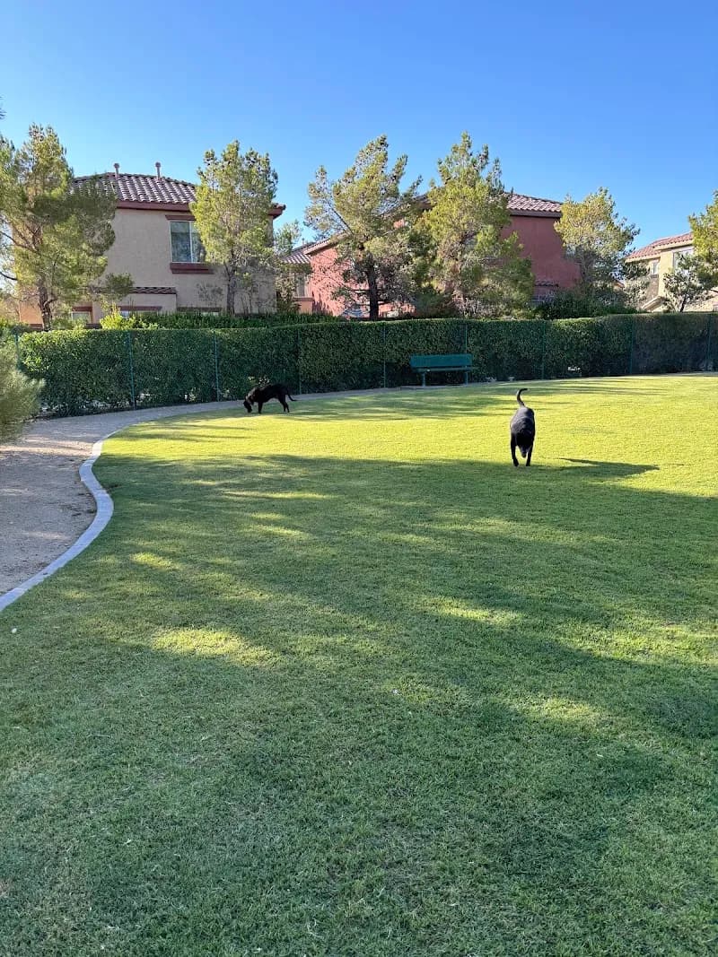 View of Cactus Jones Dog Park in Southern Highlands, NV