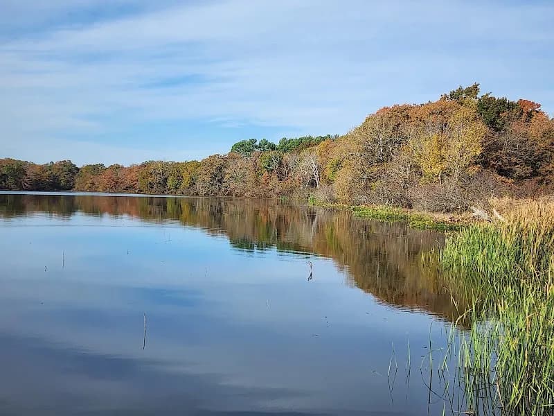 View of Caddo National Grasslands in Shreveport, LA