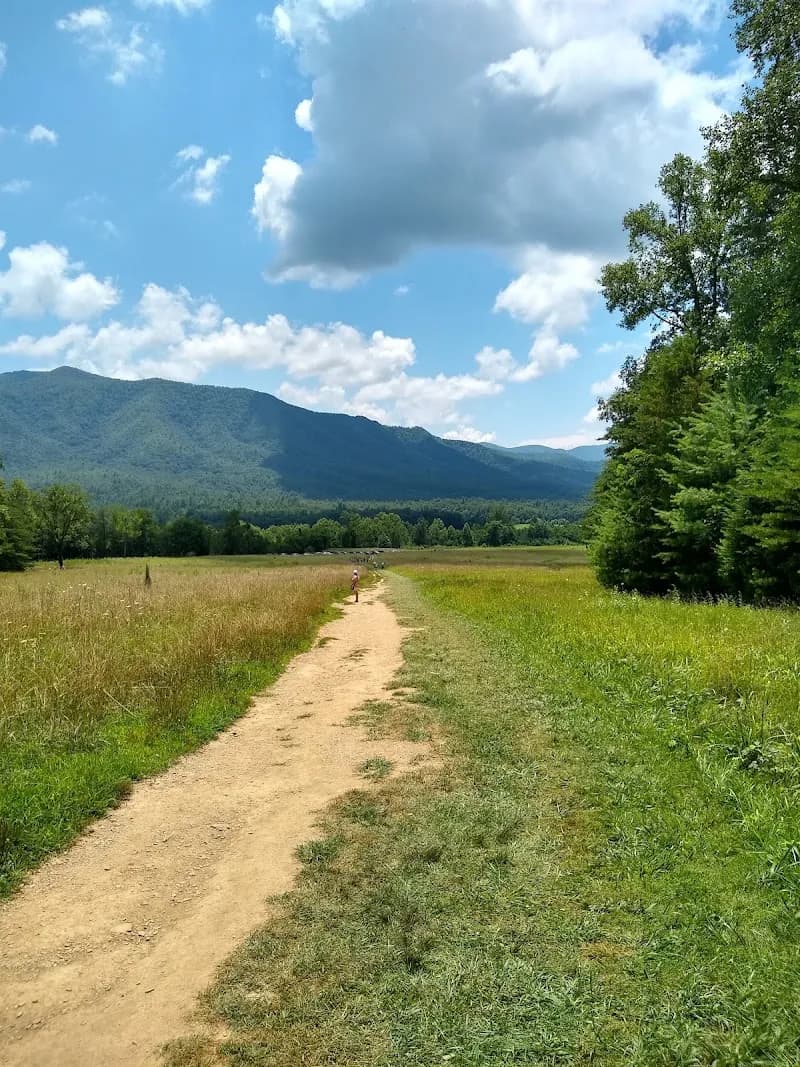 View of Cades Cove Loop Road in Walland, TN