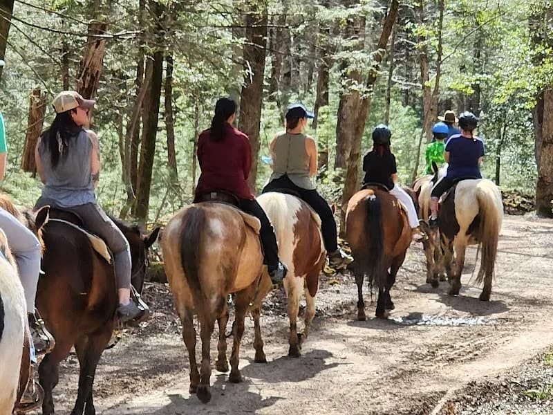 Cades Cove Riding Stables tour agency in Townsend, TN