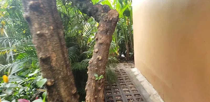 View of Café Brit Heredia in Heredia, HD