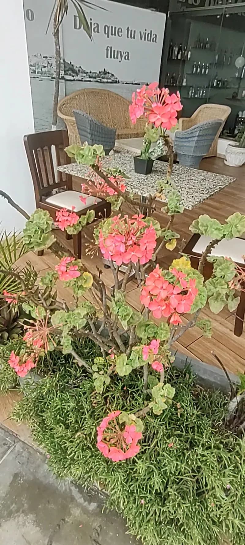View of Cafetería La Familia in San Bartolo, Lima
