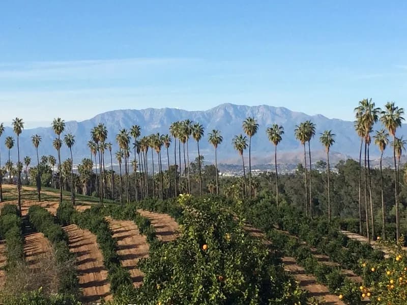California Citrus State Historic Park state park in Riverside, CA