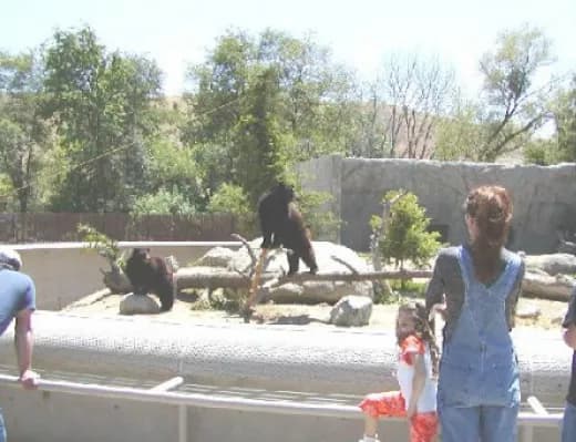 California Living Museum (CALM) zoo in Bakersfield, CA