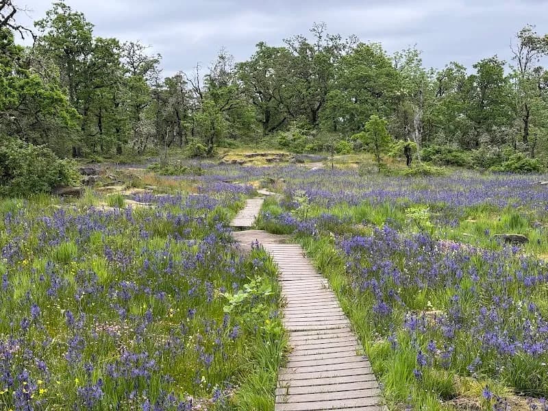 Camassia Nature Preserve nature preserve in West Linn, OR