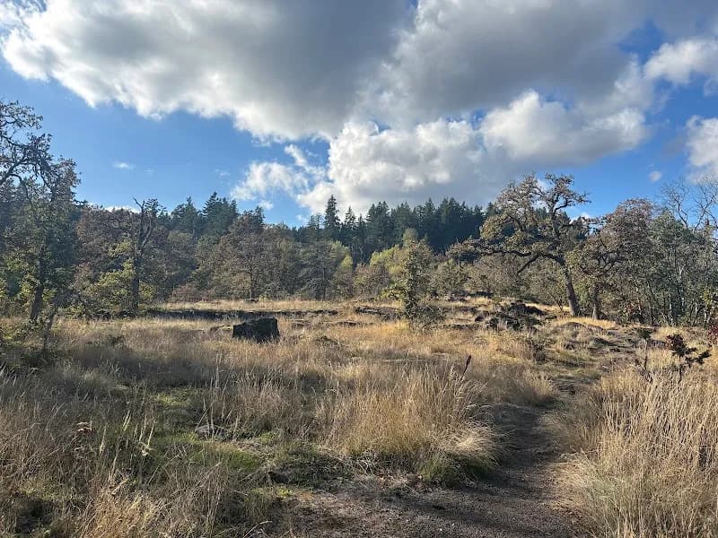 View of Camassia Nature Preserve in West Linn, OR