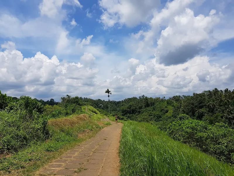 View of Campuhan Ridge Walk in Ubud, Bali