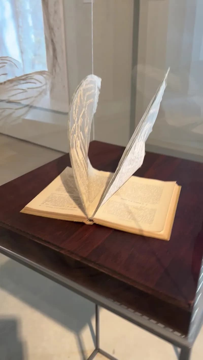 View of Can Framis Museum in Esplugues de Llobregat, CT