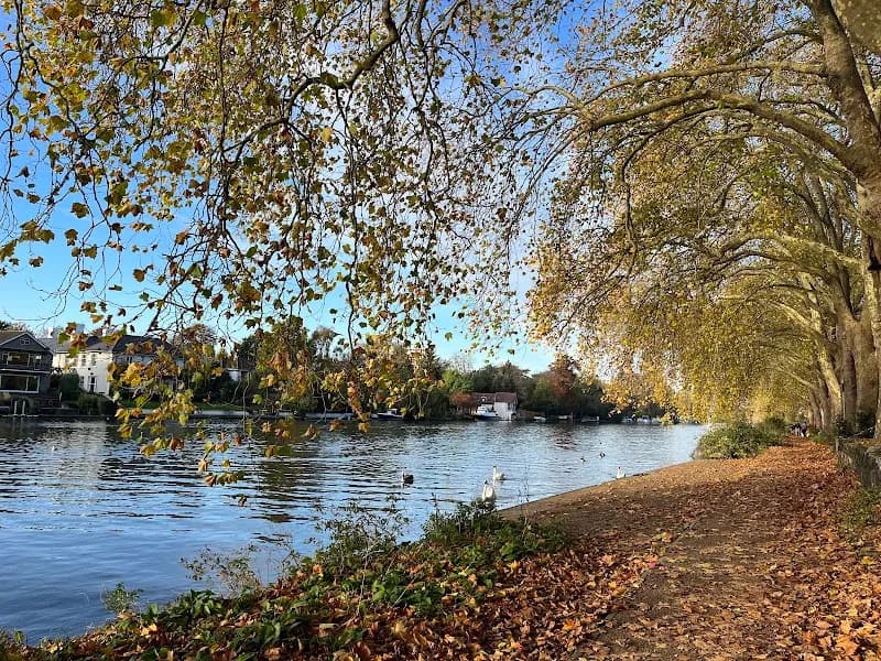 View of Canbury Gardens in Kingston upon Thames, London