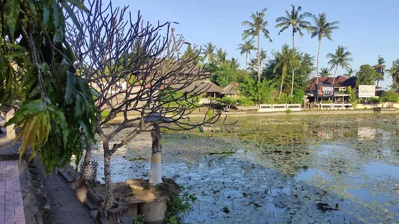 View of Candidasa Lotus Lagoon in Candidasa, Bali