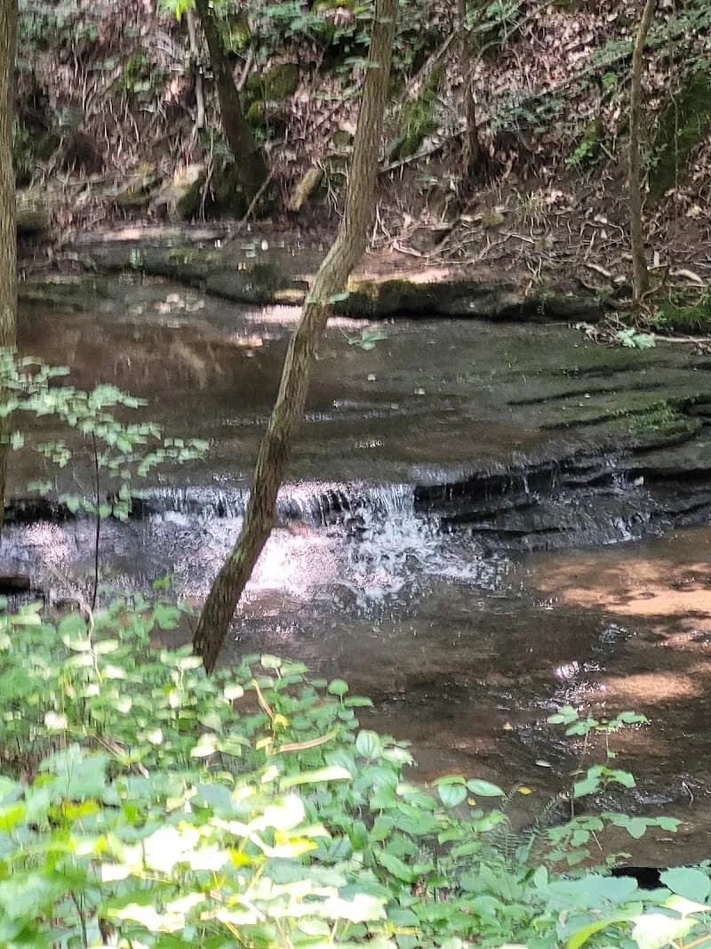 View of Cane Creek Canyon Nature Preserve in Oxford, AL