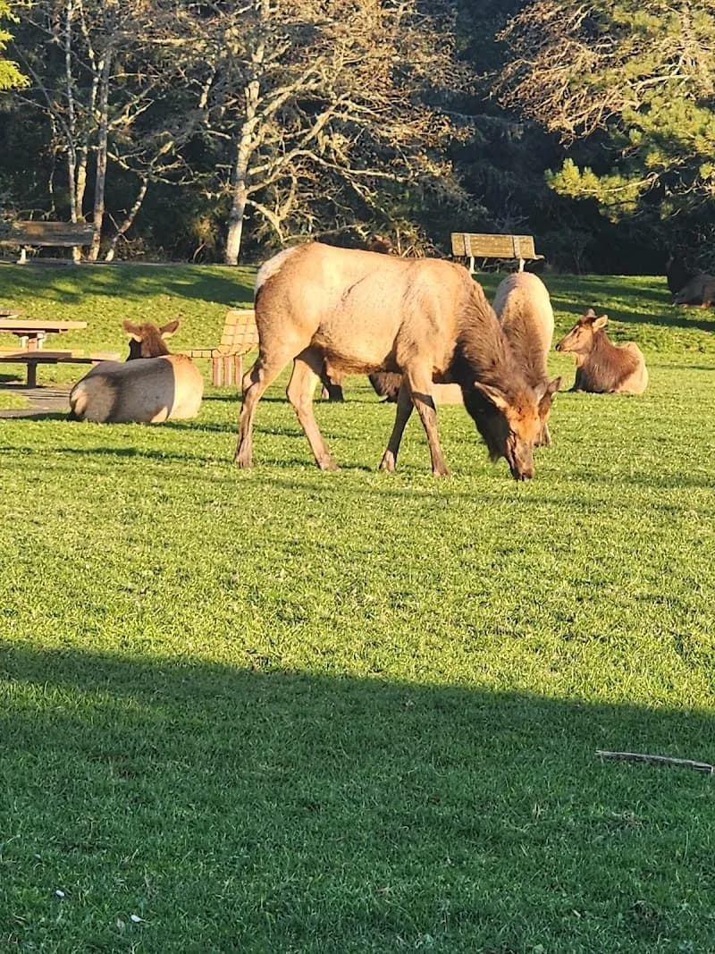 View of Cannon Beach City Park in Cannon Beach, OR