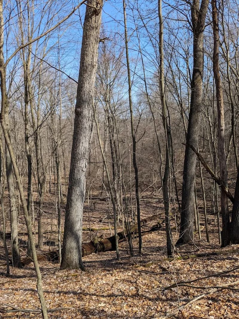View of Cannonsburg State Game Area in Grand Rapids, MI