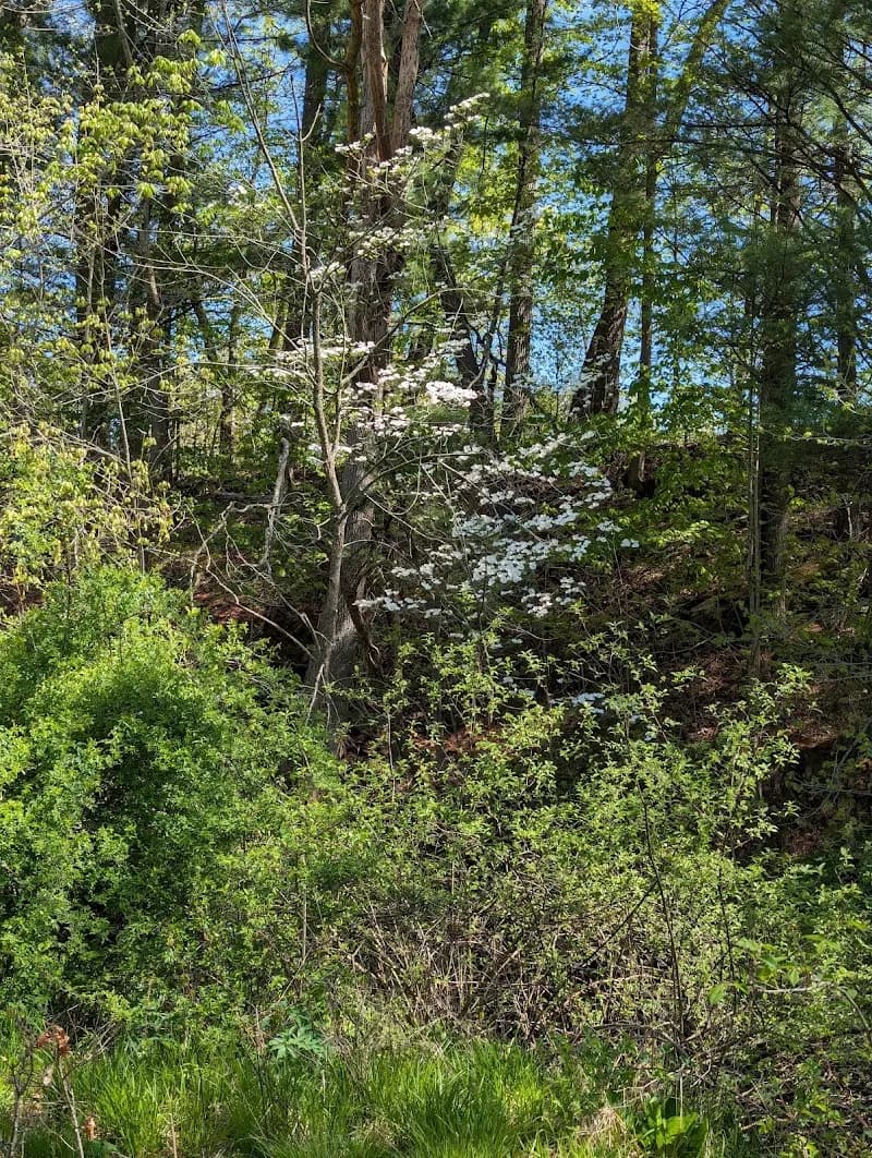 View of Cannonsburg State Game Area in Grand Rapids, MI