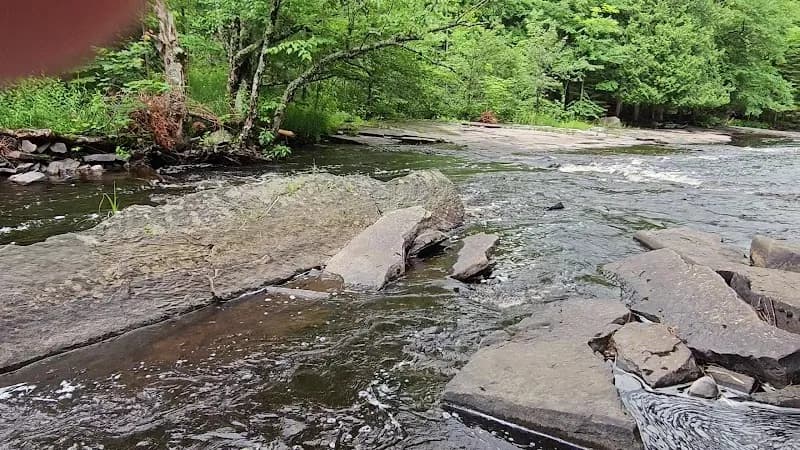 View of Canyon Falls Roadside Park in Trout Creek, MI