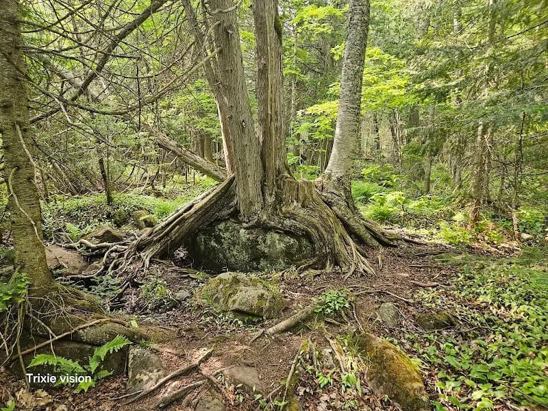 View of Canyon Falls Roadside Park in Trout Creek, MI