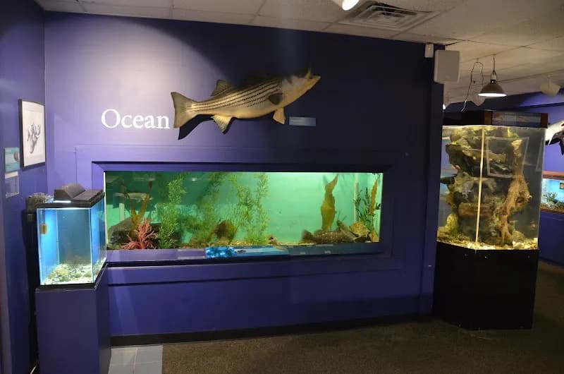 View of Cape Cod Museum Of Natural History in Cape Cod, MA