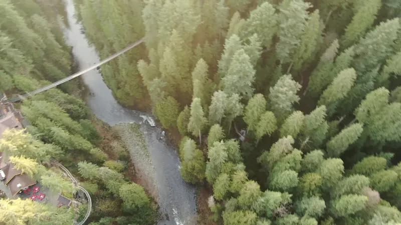 View of Capilano Suspension Bridge Park in Vancouver, BC