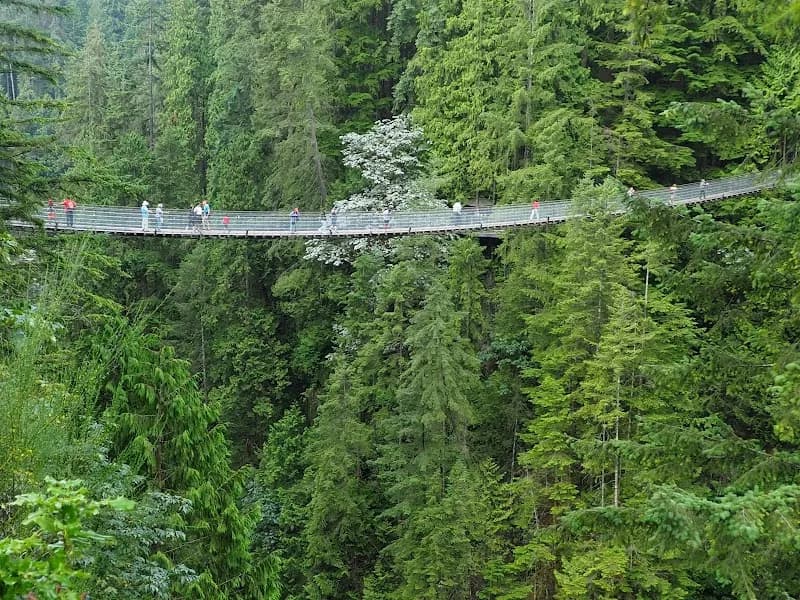 View of Capilano Suspension Bridge Park in Vancouver, BC