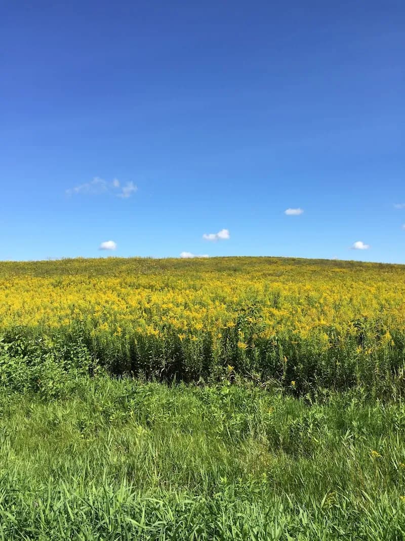 View of Capital Springs Recreation Area in Madison, WI