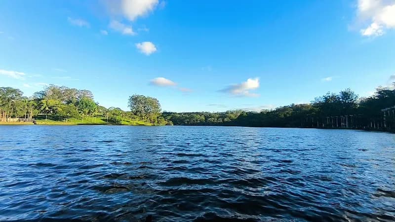 View of Carmo Park – Olavo Egydio Setúbal in Sao Paulo, SP