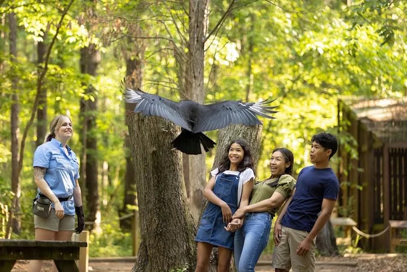 Carolina Raptor Center non profit organization in Charlotte, NC