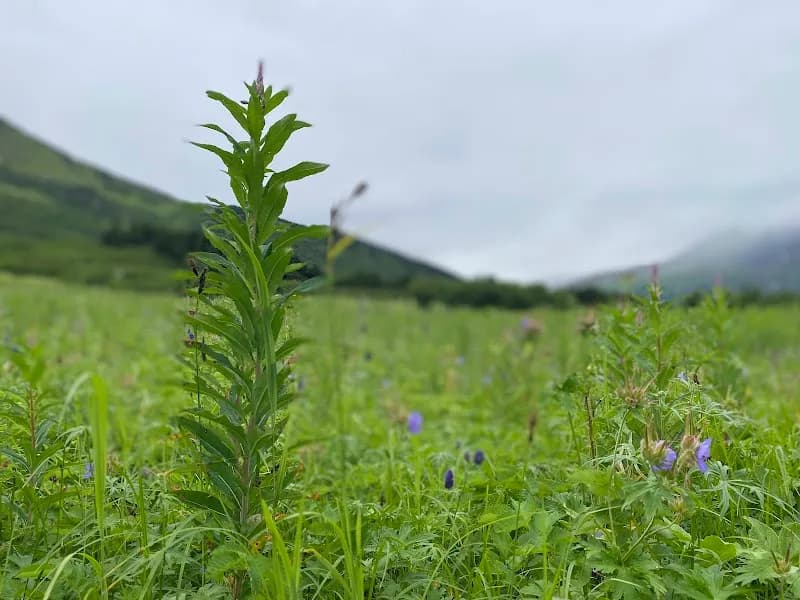 View of Carter Lake Trail Head Parking in Carter Lake, IA