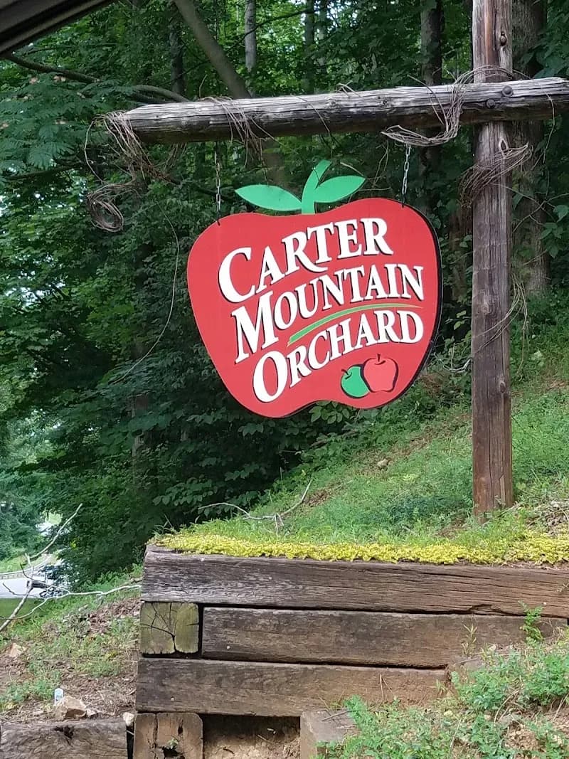 View of Carter Mountain Orchard and Country Store in Charlottesville, VA