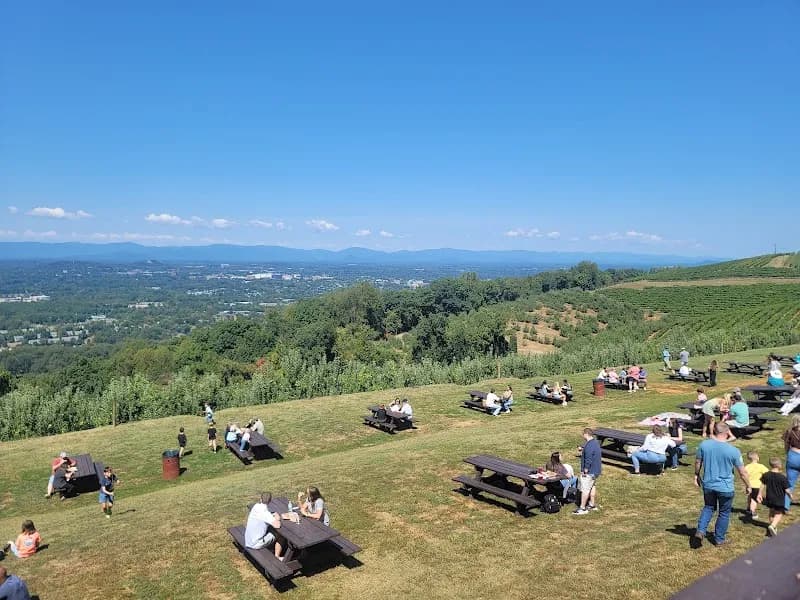 View of Carter Mountain Orchard and Country Store in Charlottesville, VA