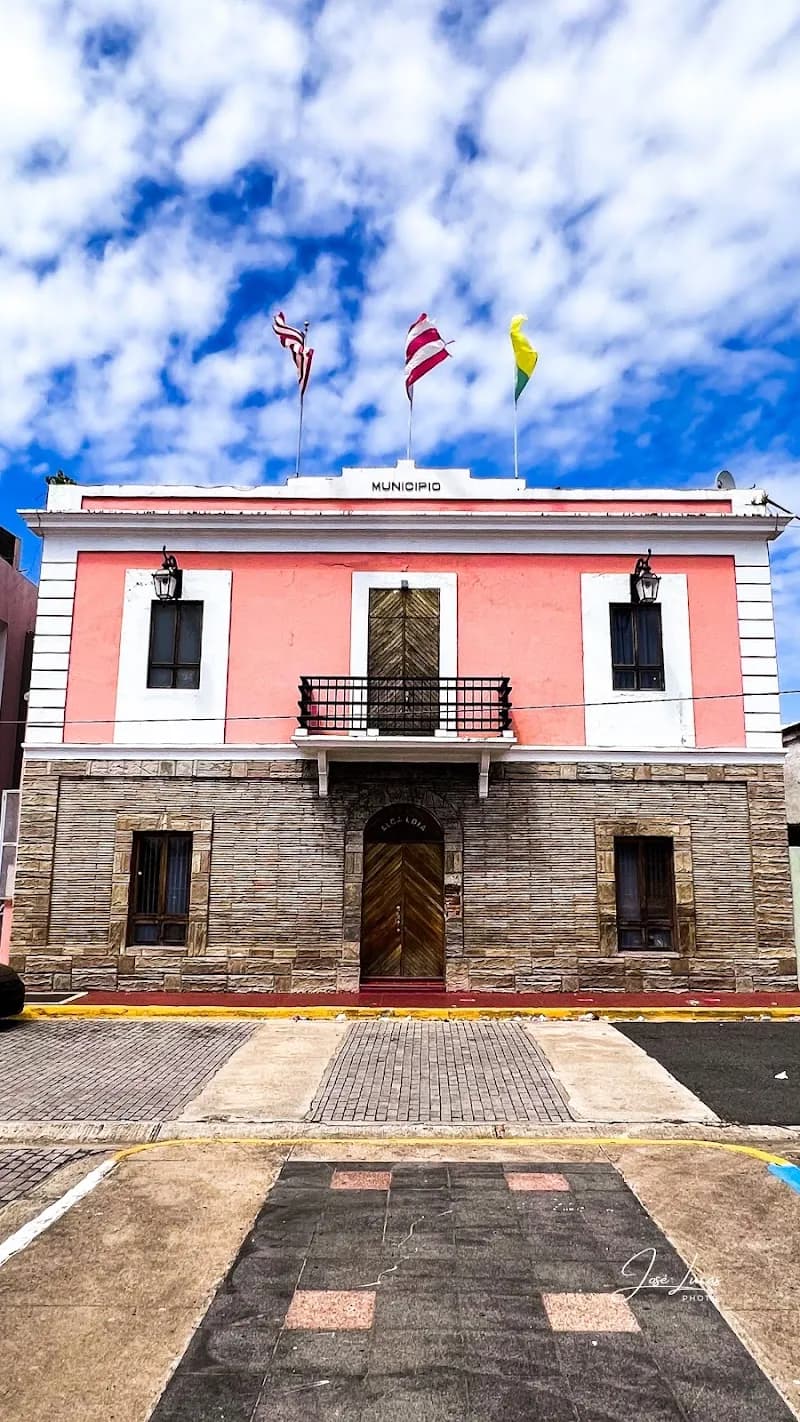 Casa de Cultura de Toa Baja museum in Toa Baja, PR