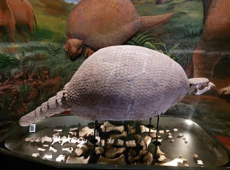 View of Casa Garcilaso in Cusco, CUS
