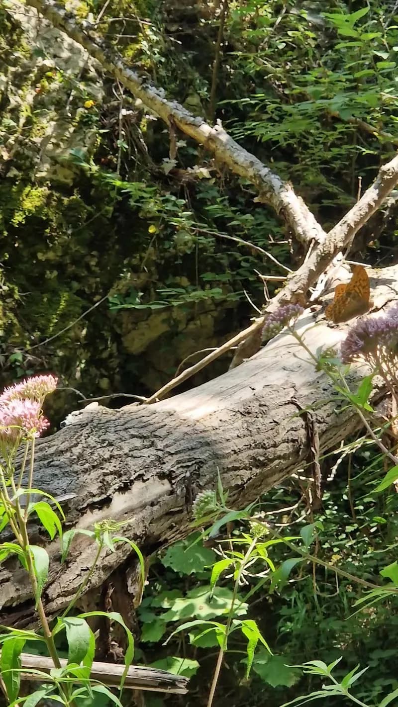 View of Cascade de Vescagne in Vence, PACA