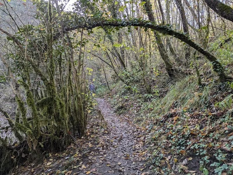 View of Cascade de Vescagne in Vence, PACA