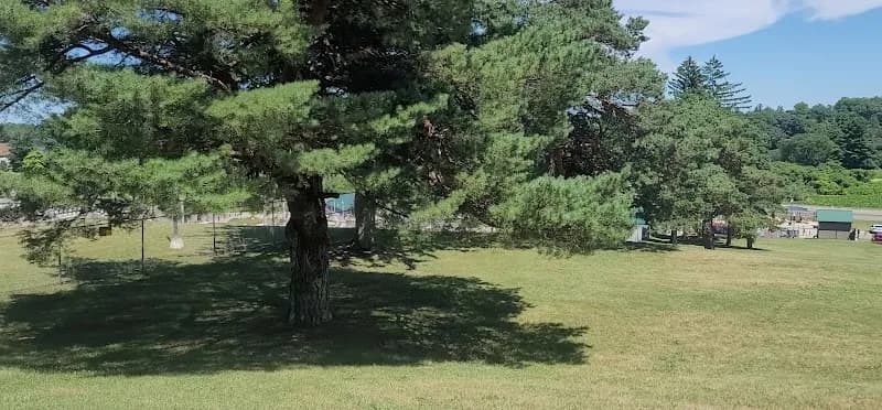 View of Cascades Park in Jackson, MI