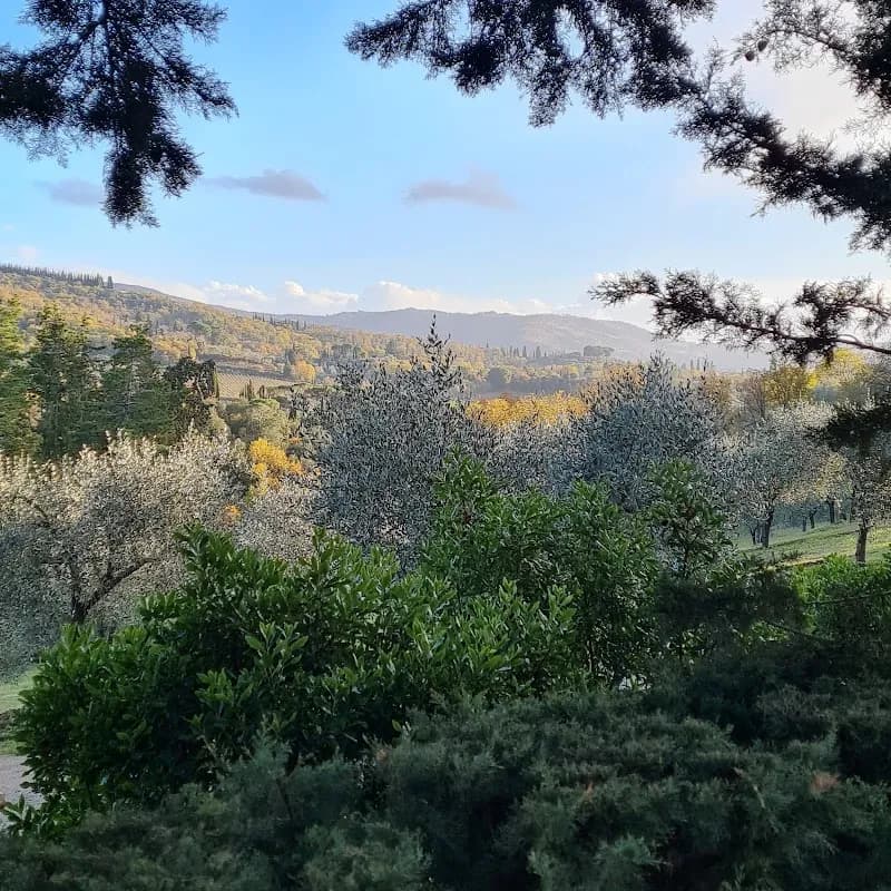 View of Castello di Uzzano in Greve in Chianti, Tuscany