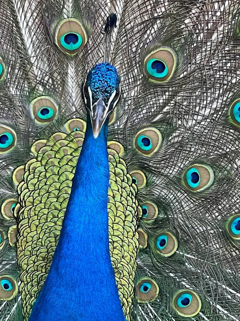 View of Castle Park Riverside in Riverside, CA