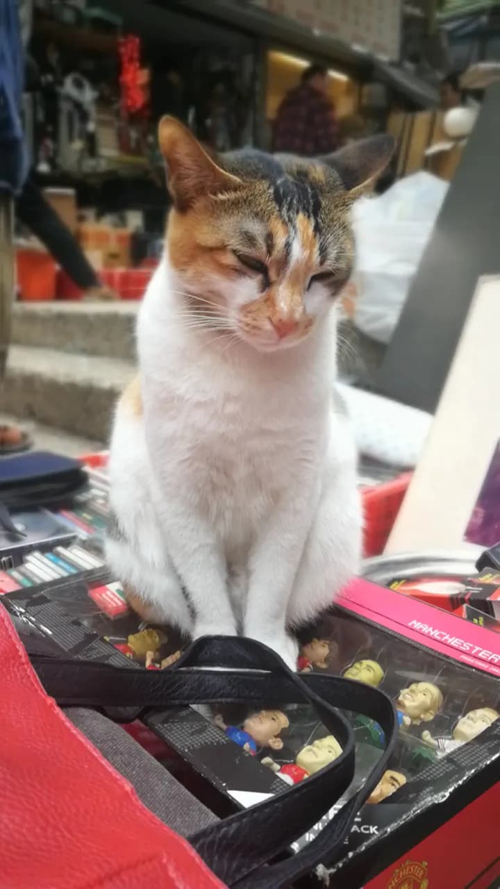 View of Cat Street in Sheung Wan, HK